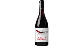 Little Bastard Gamay 75cl